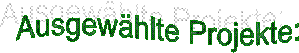 Ausgewhlte Projekte: